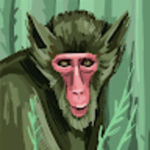 Meet your Posher, Ramon